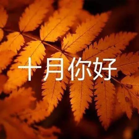 十月你好唯美句子（朋友圈问候语精选文案）