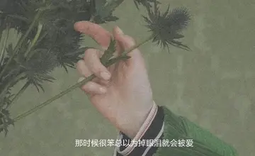 说到心坎里的情绪文案（让人心酸的文案句子）