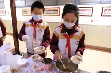 2022小学文化艺术节实施方案模板（小学文化艺术节工作方案范本）