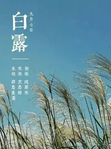 白露节气的古诗（关于白露的著名诗句）