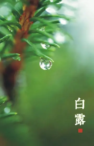 适合白露节气的古诗（关于白露的著名诗句）