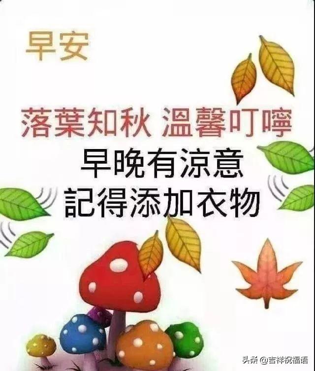 关于早晨暖心的祝福语（温暖人心的早安问候语）