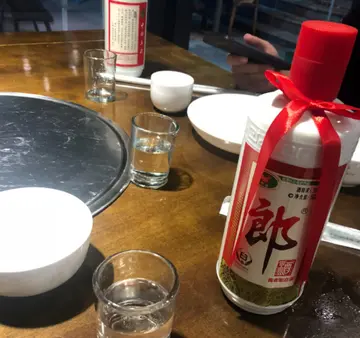 用寂寞酿一坛好酒作文800字（关于酒的范文）