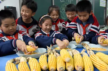 2022学校节约粮食活动倡议书范文（校园节约粮食教育倡议书范例）