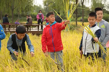 2022学校节约粮食活动倡议书范文（校园节约粮食教育倡议书范例）