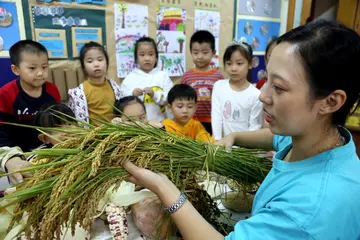 2022院校节约粮食宣传倡议书范文（学生节约粮食主题倡议书范例）