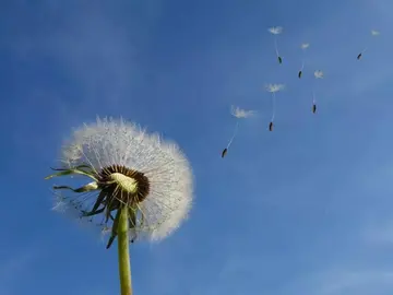 积极阳光的文案句子（充满正能量的励志短句）