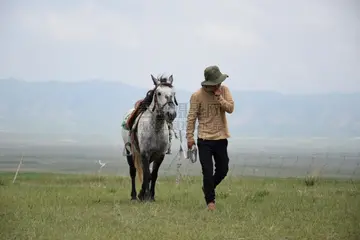 为你而歌作文700字（美丽动人的花香）