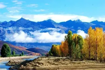 《人生处处有风景》作文精选（关于人生路上的作文范例）