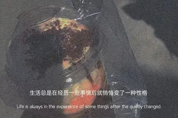 失望至极的情绪文案（特别失望的伤感句子）