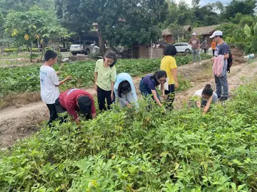 《环境影响人生》作文精选（关于环境的影响作文范例）