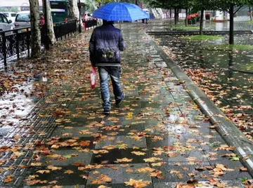 关于下雨天的唯美句子（描写雨天的心情句子）