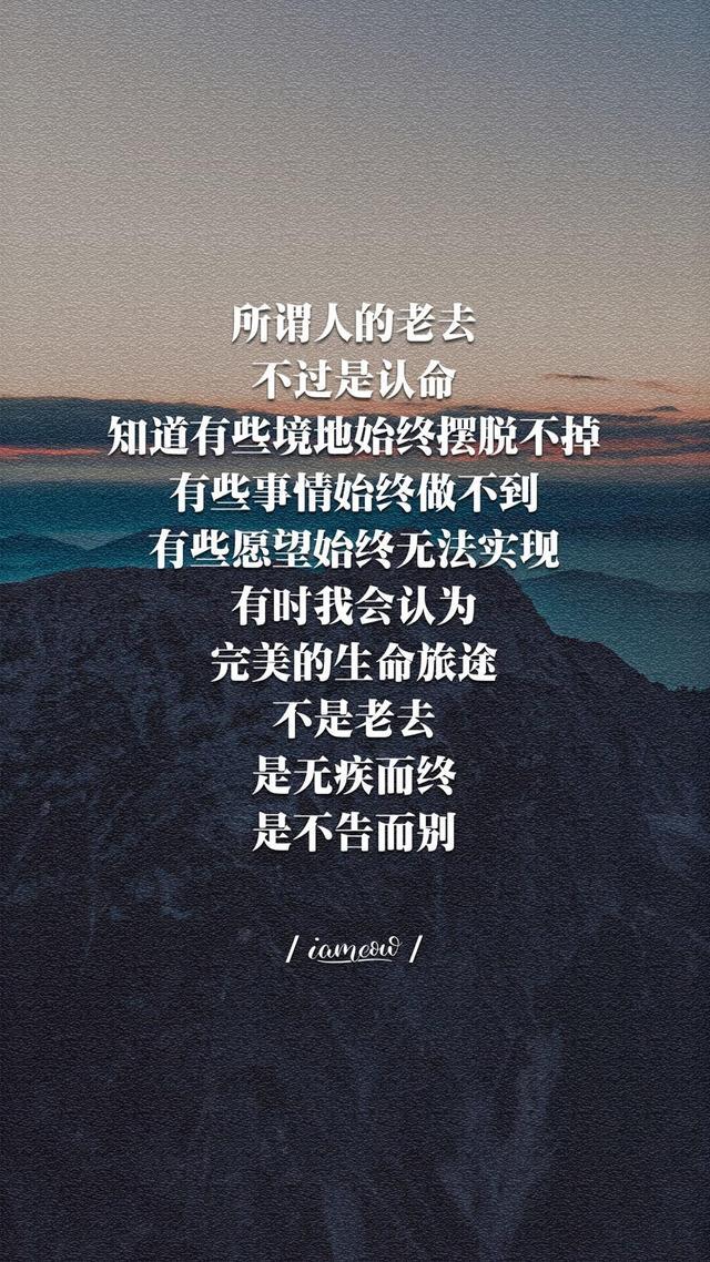 经典励志语录短句（努力工作的正能量句子）