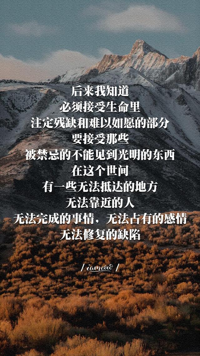 经典励志语录短句（努力工作的正能量句子）