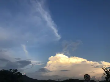 适合夏天的治愈文案（关于夏天的经典语录）