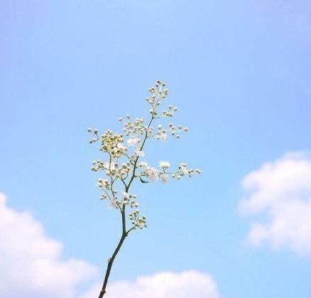 适合发朋友圈正能量的早安心语（每日清晨励志寄语）