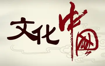 中国传统文化作文600字（高中作文素材）