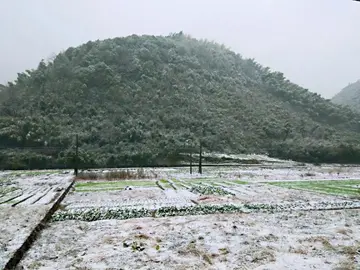 被月光浸满的岁月作文600字（月光下的回忆）