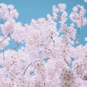 关于愚人节的搞笑句子（愚人节的沙雕文案）