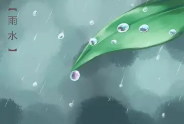 关于雨水节气的唯美句子（描写雨水节气的优美句子）