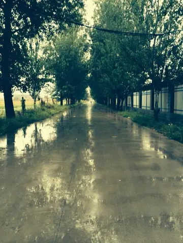 下雨天的文案句子（关于雨天的唯美句子）