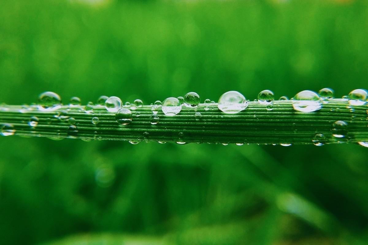 关于雨水古诗词大全（雨水节气的古诗）