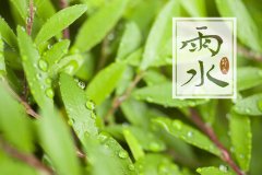 关于雨水古诗词大全（雨水节气的古诗）