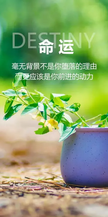 关于早安的经典语录（积极阳光的早安句子）