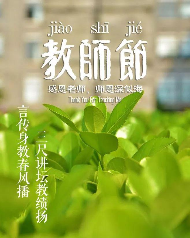 赞美老师的古诗句和名言（锦旗送老师感谢用语大全）