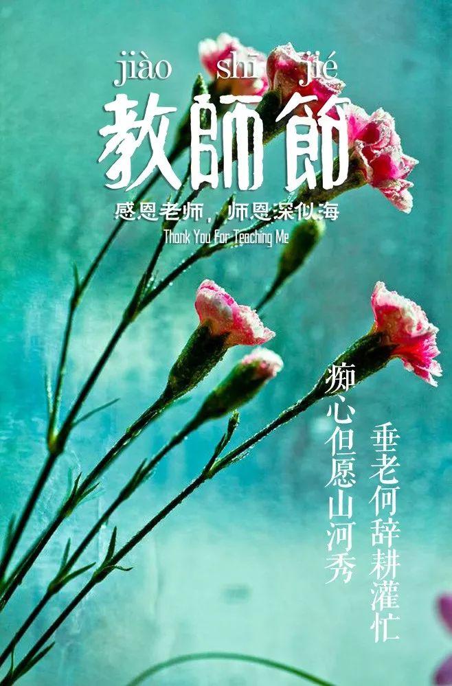 赞美老师的古诗句和名言（锦旗送老师感谢用语大全）