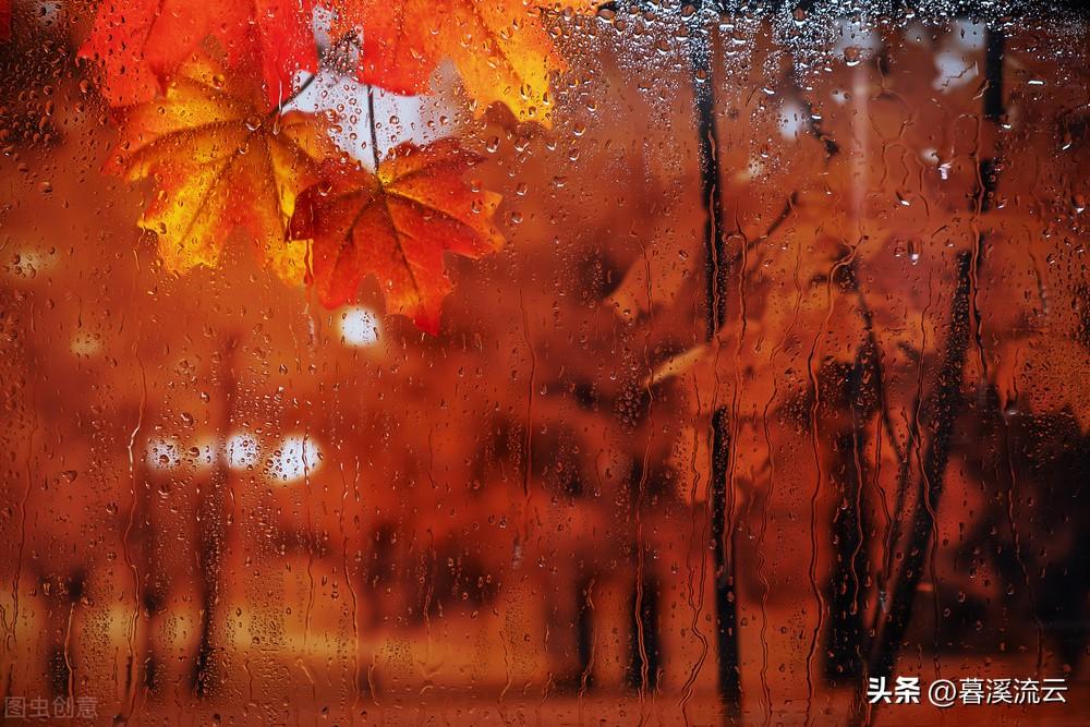 秋雨感悟人生的诗句（精选十首清冷秋雨诗词）