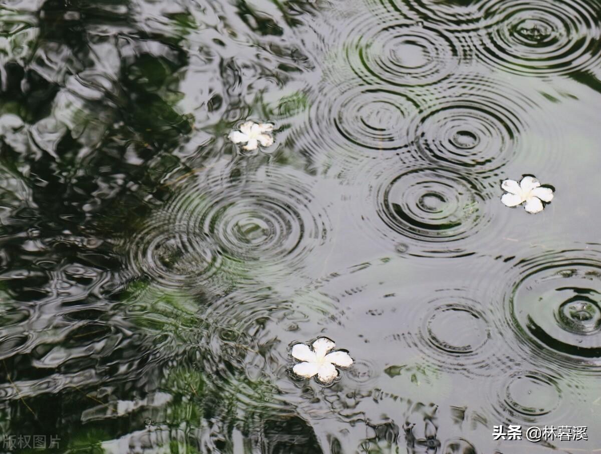 闲坐听雨的经典诗句（精选八首听雨诗词）