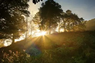 适合早安的励志心语（激励人心的早安句子）