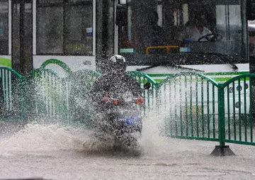 《生活中的暴风雨》（关于暴风雨的作文精选）