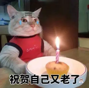 经典暖心的生日句子（关于生日的祝福语录）