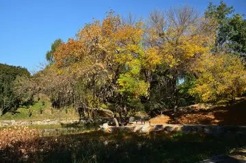 适合秋天发的唯美句子（形容秋天的优美句子）