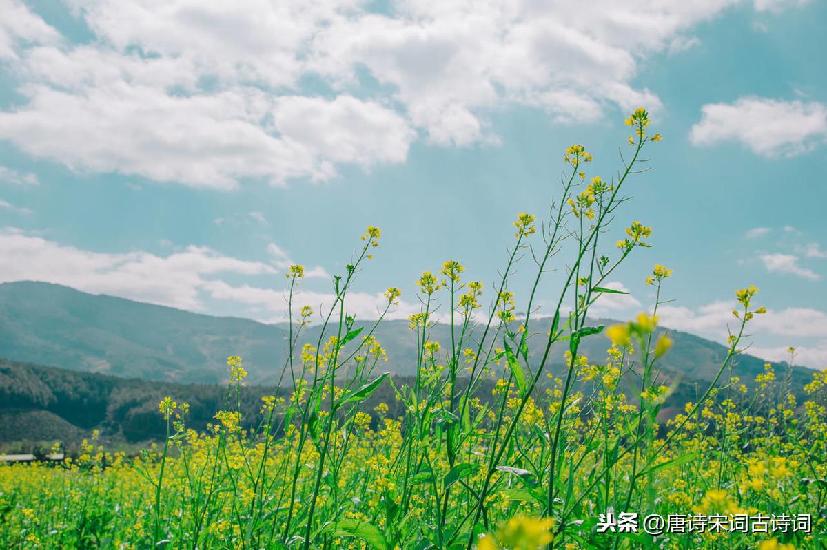 描写三月天气的诗句（12首三月诗词鉴赏）