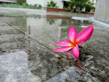 让人惊艳的雨天文案（干净且文艺的雨天句子）