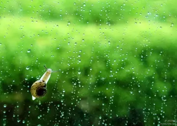 关于雨天的文案句子（下雨天的浪漫句子）