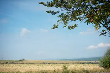 高级且浪漫的夏日文案（关于夏天的浪漫句子）