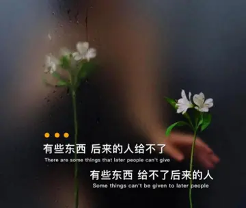 精辟走心的伤感文案（高质量的伤感句子）