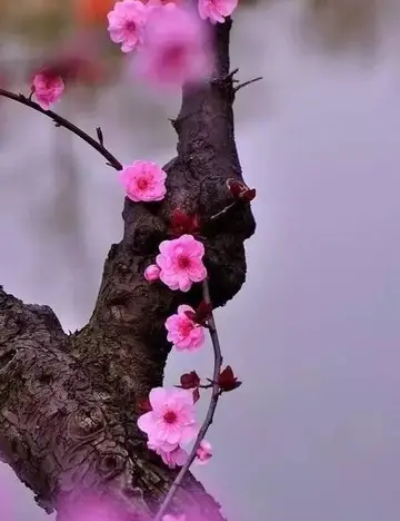 让人愉悦的早安心语（关于早安的幸福句子）