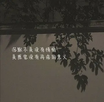 那些伤感的文案句子（伤感且扎心的句子）