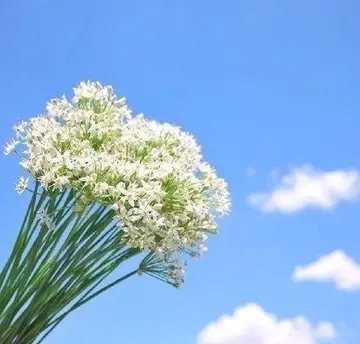 激励人生的拼搏句子（充满正能量的励志文案）