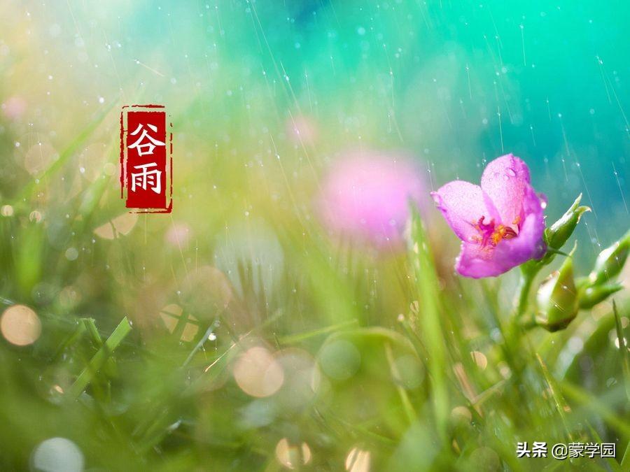 描写谷雨季节的古诗（156句谷雨诗词佳句）