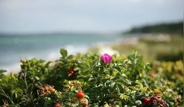 瞬间清醒的经典句子（让人清醒的励志语录）