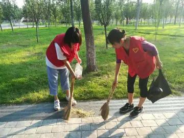 有关爱护自然的作文精选范例（《珍惜大自然，爱护环境》）