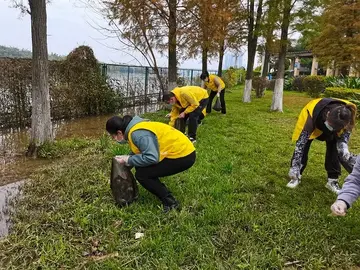 有关感悟自然的作文精选范例（《感悟大自然的生命》）