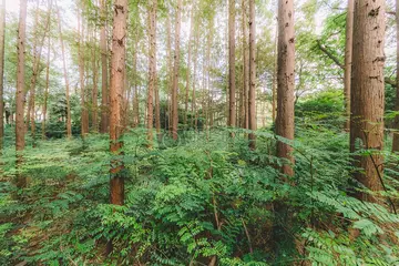 《大自然，多奇妙》（关于美丽风景的作文精选）