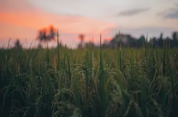 治愈心情的文案短句（温暖人心的心情句子）